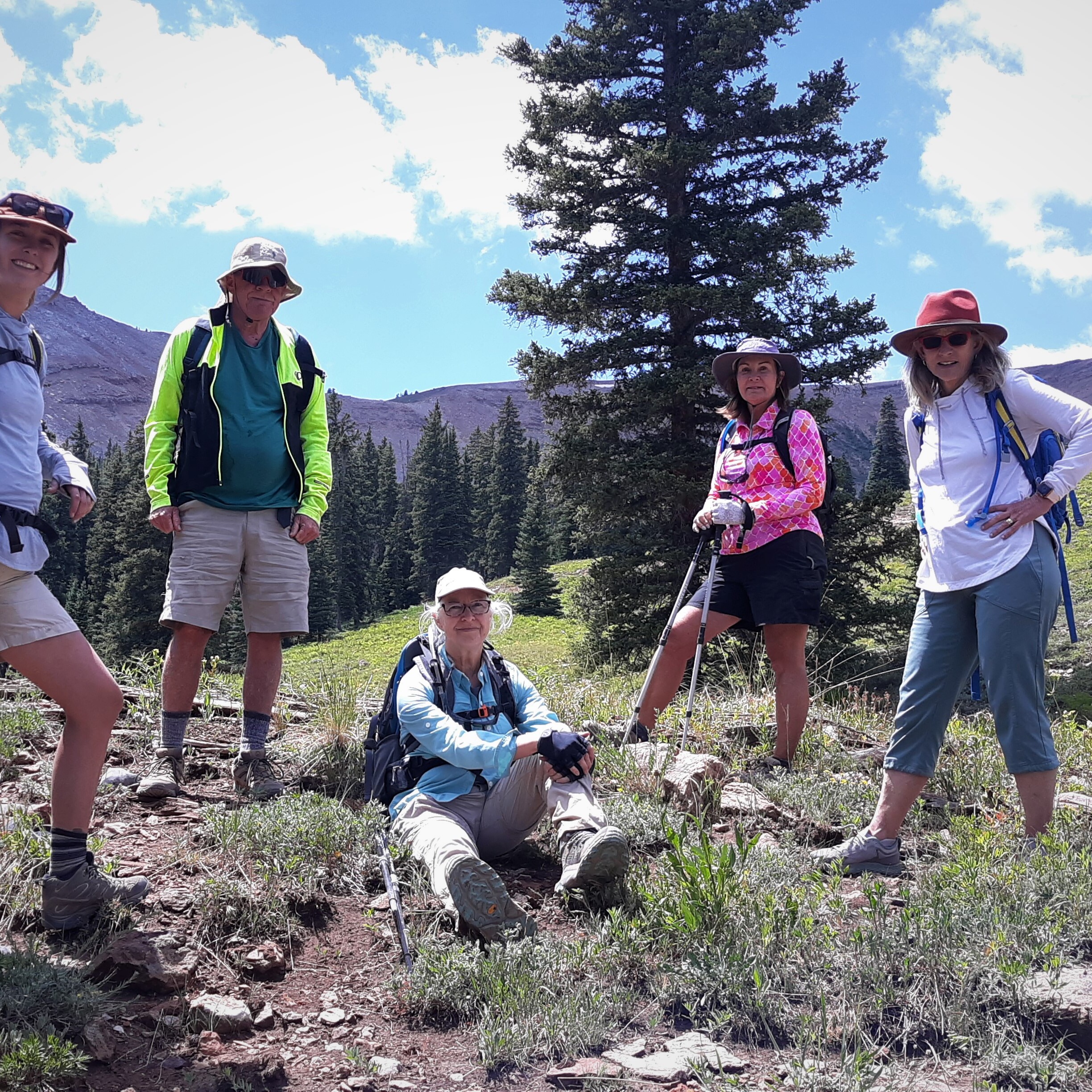 HCCA Hike: Rosebud Gulch - logo